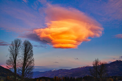 Cloudy ufo low angle view of trees against sky during sunset