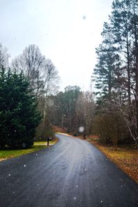 Road passing through bare trees