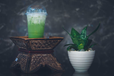 Close-up of potted plant on table