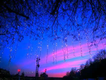 Low angle view of trees against sky at night