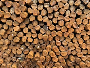 Full frame shot of logs in forest