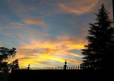 Low angle view of silhouette trees against sky during sunset