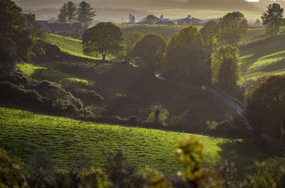 Scenic view of field and trees against sky