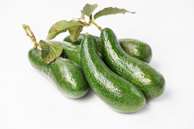 Close-up of fruit against white background