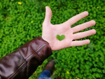 Close-up of hand on grass