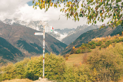 Colorful tree and forest nature hiking trail without any person in the photo.