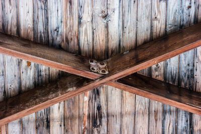 Low angle view of roof and ceiling of building