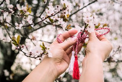 Close-up of hand holding flower