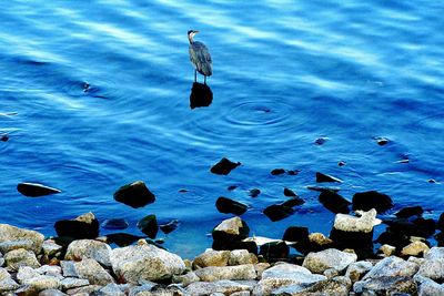 View of calm blue sea