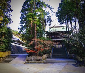 Steps leading to building