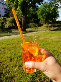 Close-up of hand holding drink