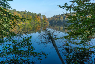Reflection of trees in lake against sky