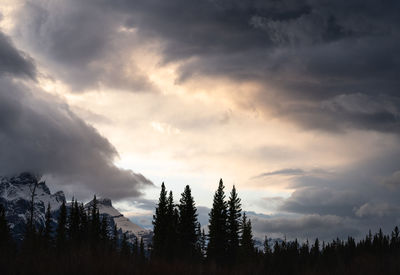 Silhouette trees against sky during sunset