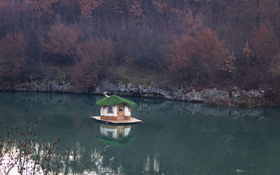 Scenic view of lake in forest