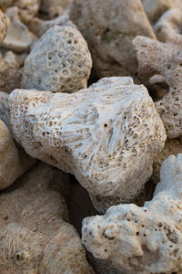 Close-up of pebbles on sand at beach