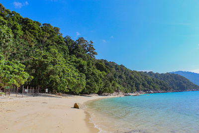 Scenic view of beach against clear blue sky