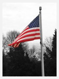 Low angle view of american flag against sky