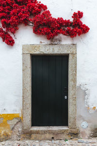 Closed old door of building with red flowers 