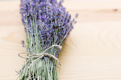 Close-up of lavender growing on table