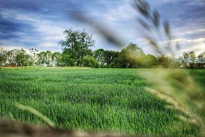 Scenic view of field against cloudy sky
