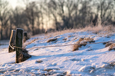 Close-up of snow covered land on field