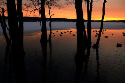 Silhouette trees by lake against sky during sunset