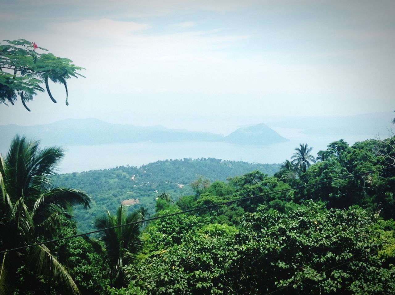 tree, mountain, tranquil scene, scenics, tranquility, beauty in nature, sky, growth, nature, palm tree, mountain range, green color, landscape, idyllic, lush foliage, non-urban scene, plant, outdoors, green, sea