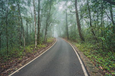 Road amidst trees in forest