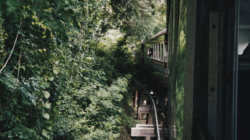 Train passing through plants