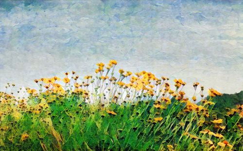 High angle view of flowers on grass by sea