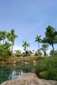 Palm trees by swimming pool against sky