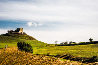 Scenic view of agricultural field against sky