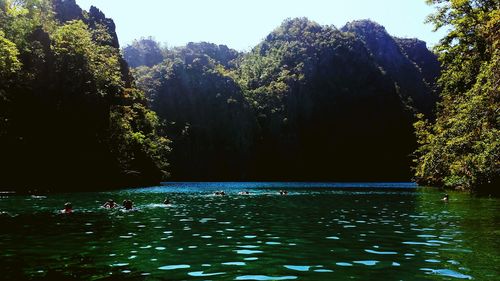 Reflection of trees in water