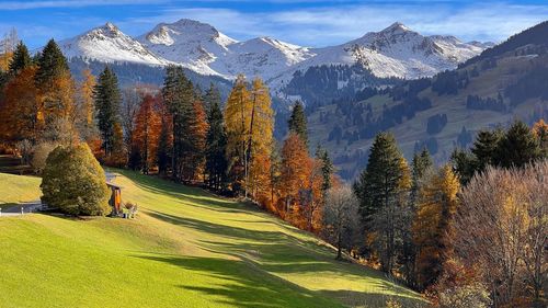 Panoramic view of trees and mountains against sky