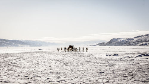 People walking on snow covered landscape against clear sky