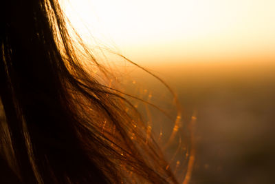 Close-up of hair against sky during sunset