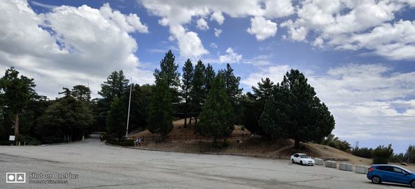 Cars on road by trees against sky