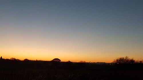 Silhouette trees on field against clear sky during sunset