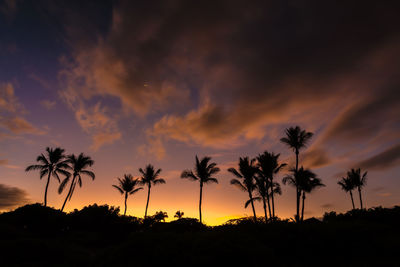 Hawaiian sunrise with silhouette of palm trees and a very colorful sky