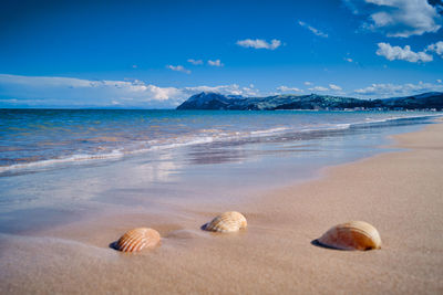 Surface level of sandy beach against sky