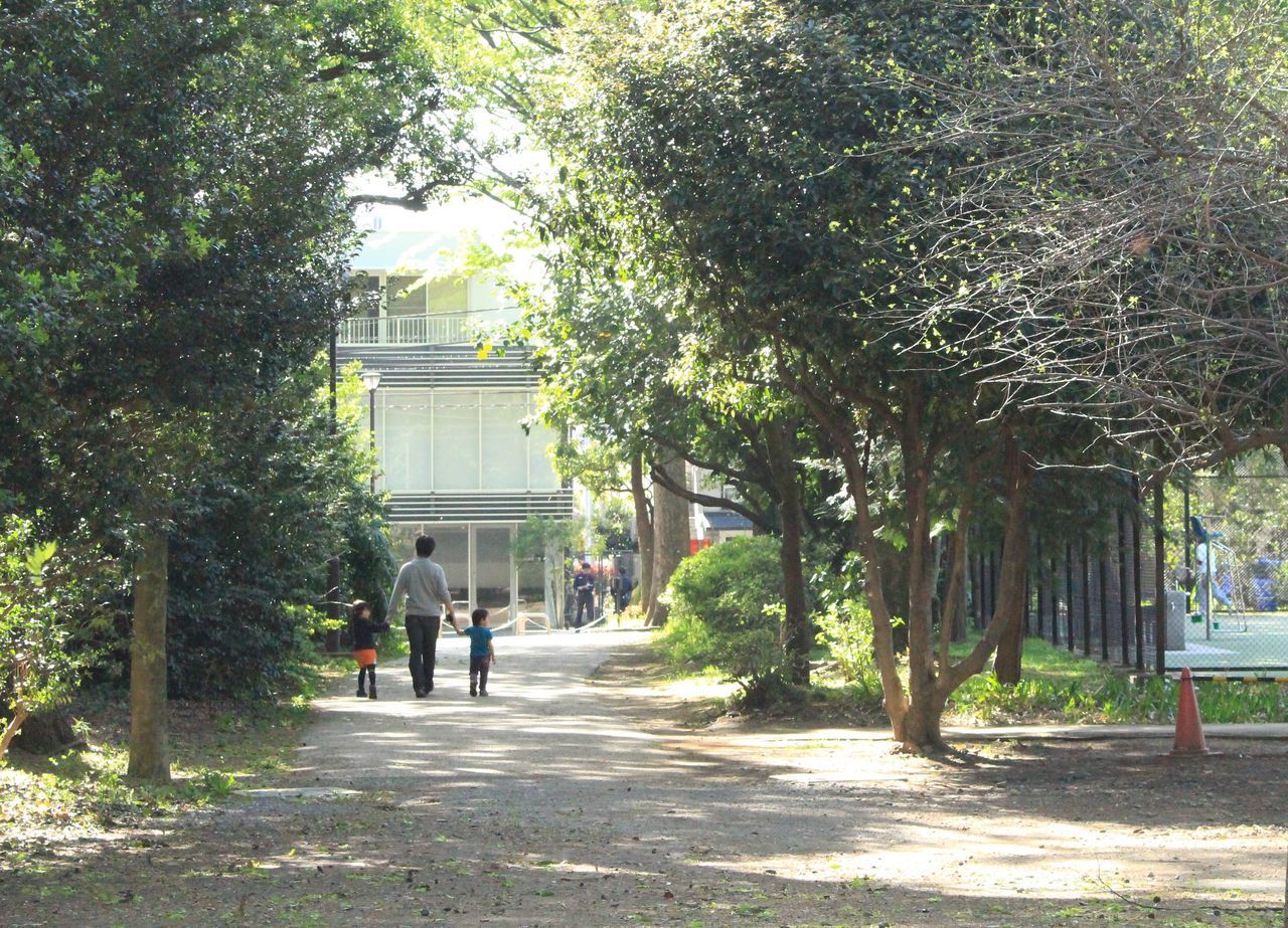 tree, architecture, building exterior, growth, city, built structure, the way forward, city life, green color, day, footpath, plant, branch, entrance, outdoors, pedestrian walkway, narrow, diminishing perspective, green, growing