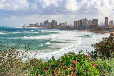 Tel aviv city view from old jaffa.