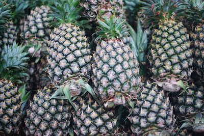 Full frame shot of fruits at market