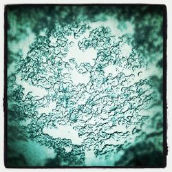 Low angle view of bare trees against sky
