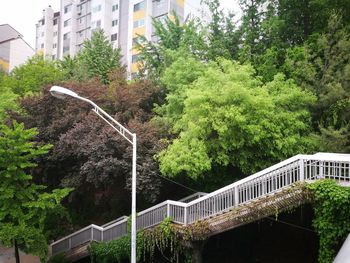 Bridge amidst trees and buildings in city