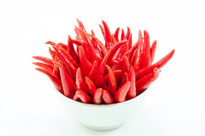 Close-up of red flower over white background