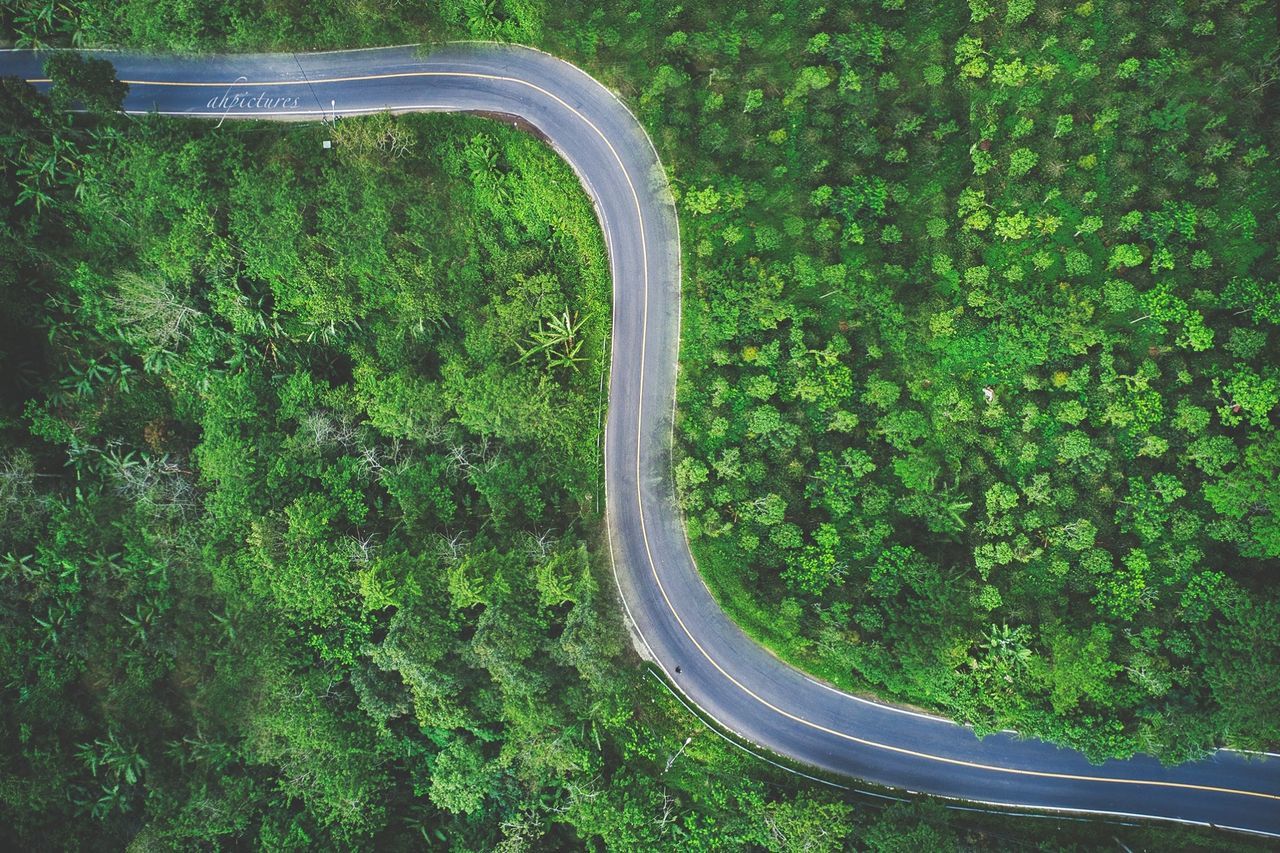 HIGH ANGLE VIEW OF ROAD AMIDST FIELD