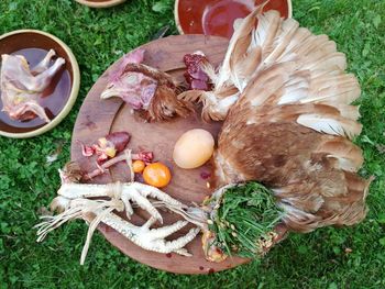 High angle view of food