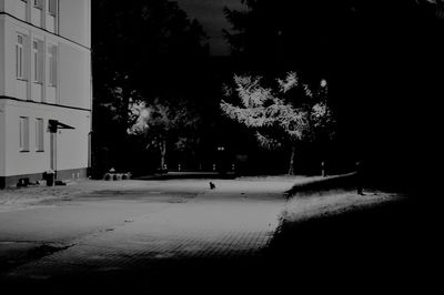 Street by trees and buildings in city at night