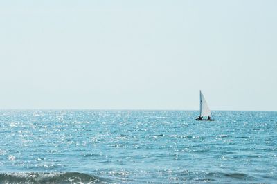 Sailboat sailing in sea against clear sky